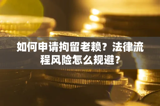 武汉如何申请拘留老赖？法律流程风险怎么规避？