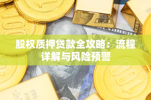 武汉股权质押贷款全攻略：流程详解与风险预警