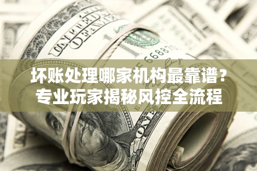 武汉坏账处理哪家机构最靠谱？专业玩家揭秘风控全流程