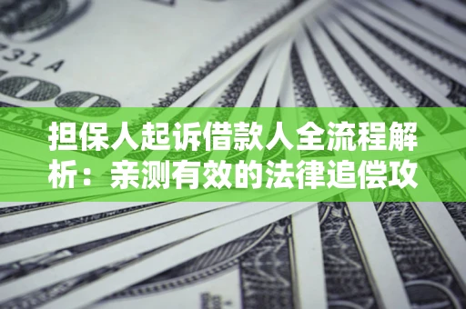武汉担保人起诉借款人全流程解析：亲测有效的法律追偿攻略