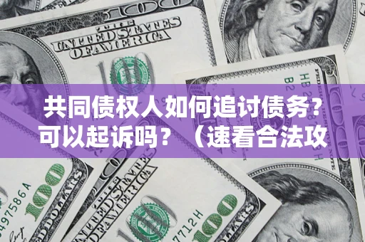 武汉共同债权人如何追讨债务？可以起诉吗？（速看合法攻略）