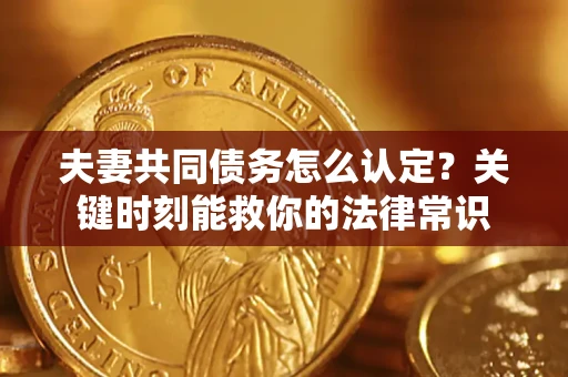 武汉夫妻共同债务怎么认定？关键时刻能救你的法律常识