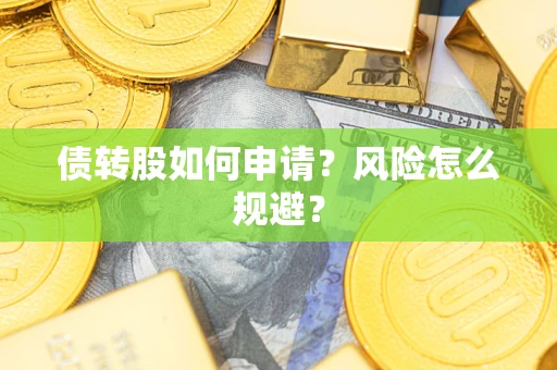 武汉债转股如何申请？风险怎么规避？