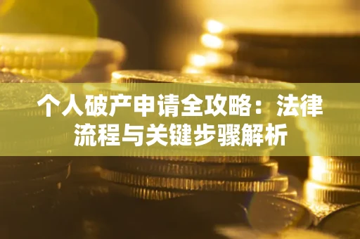 武汉个人破产申请全攻略：法律流程与关键步骤解析