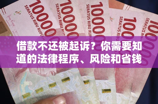 武汉借款不还被起诉？你需要知道的法律程序、风险和省钱技巧