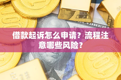 武汉借款起诉怎么申请？流程注意哪些风险？