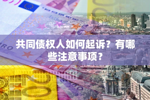 武汉共同债权人如何起诉？有哪些注意事项？